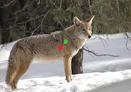 Picture courtesy Google Images Creative Common License
